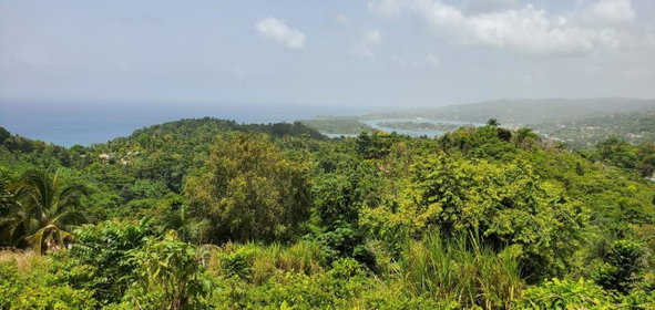 Second image of Wiltshire in Wiltshire, St. James, Jamaica - property is For Sale