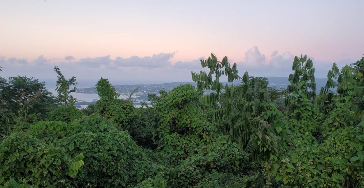 First image of Wiltshire in Wiltshire, St. James, Jamaica - property is For Sale