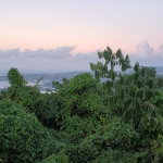 First image of Wiltshire in Wiltshire, St. James, Jamaica - property is For Sale