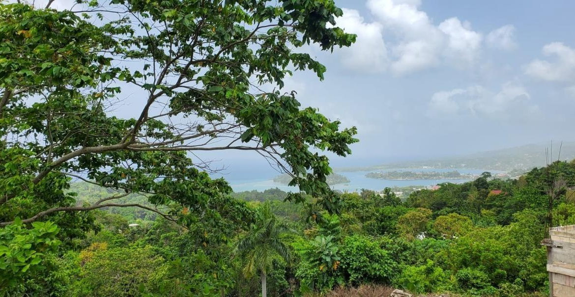 Third image of Wiltshire in Wiltshire, St. James, Jamaica - property is For Sale