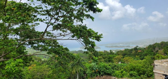 Third image of Wiltshire in Wiltshire, St. James, Jamaica - property is For Sale