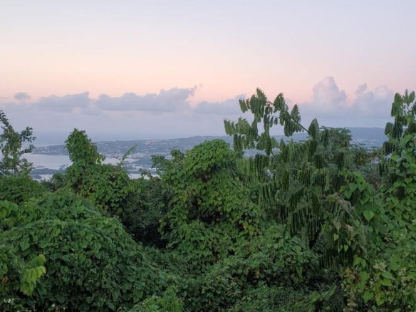 First image of Wiltshire in Wiltshire, St. James, Jamaica - property is For Sale