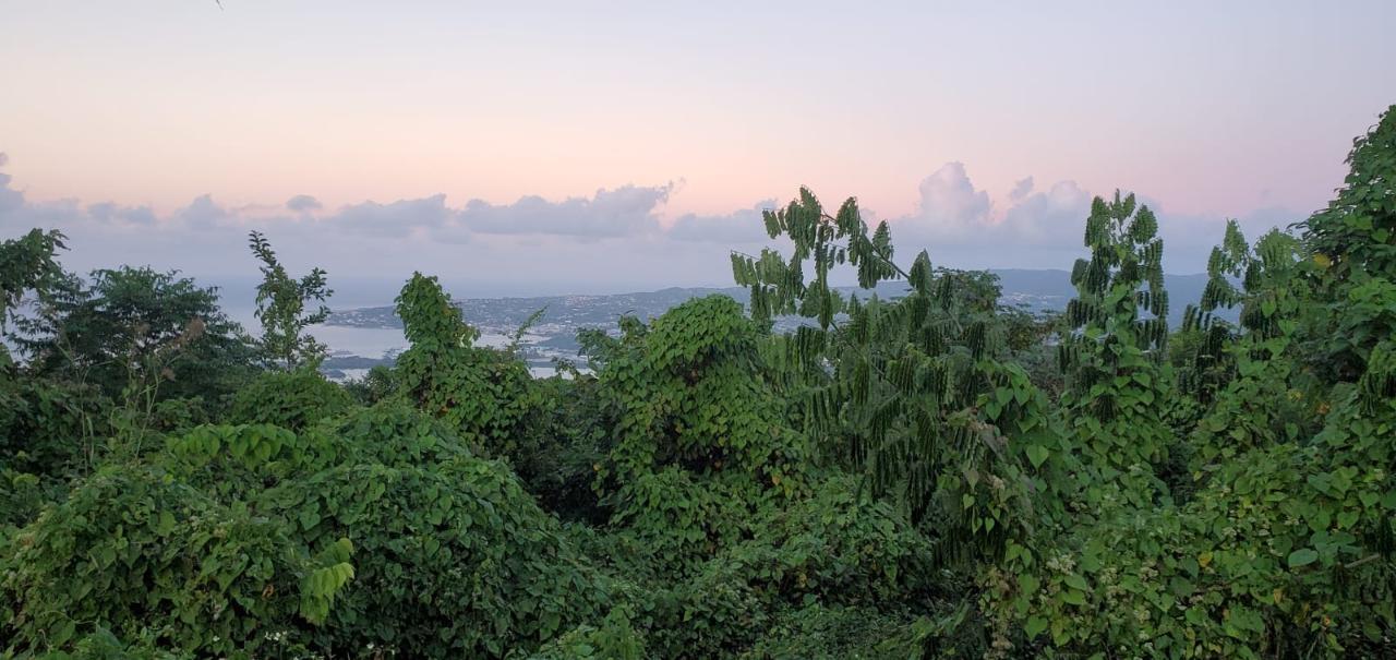 Stunning-Development-Land-for-Sale-in-Montego-Bay-Jamaica First image of Wiltshire in Wiltshire, St. James, Jamaica - property is For Sale