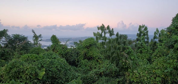 First image of Wiltshire in Wiltshire, St. James, Jamaica - property is For Sale