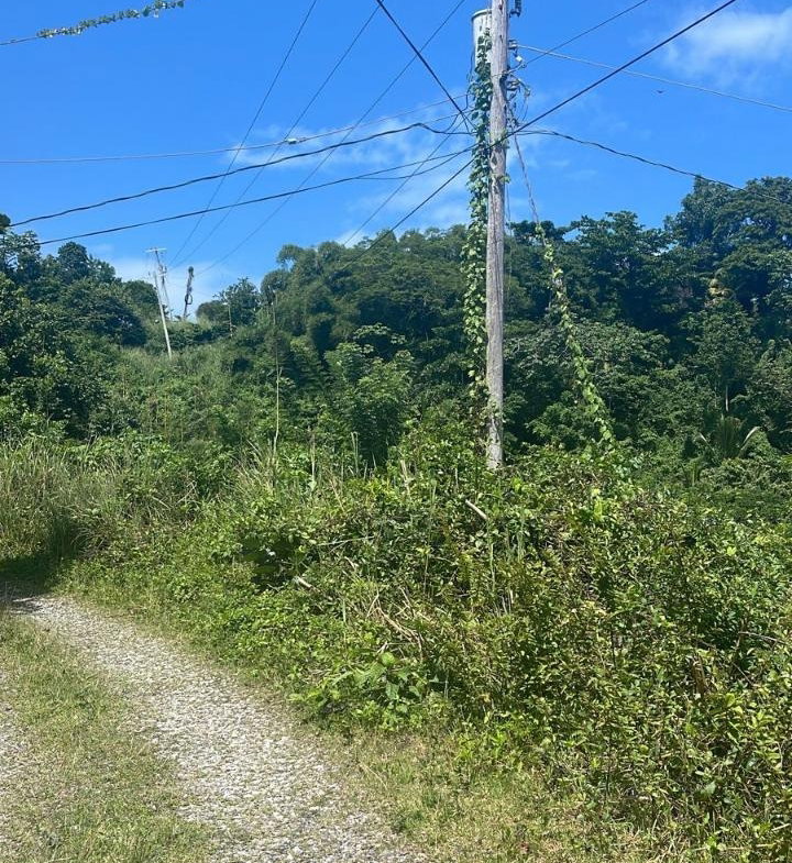 Second image of Lot 95 Part of Kildare in Buff Bay, Portland, Jamaica - property is For Sale