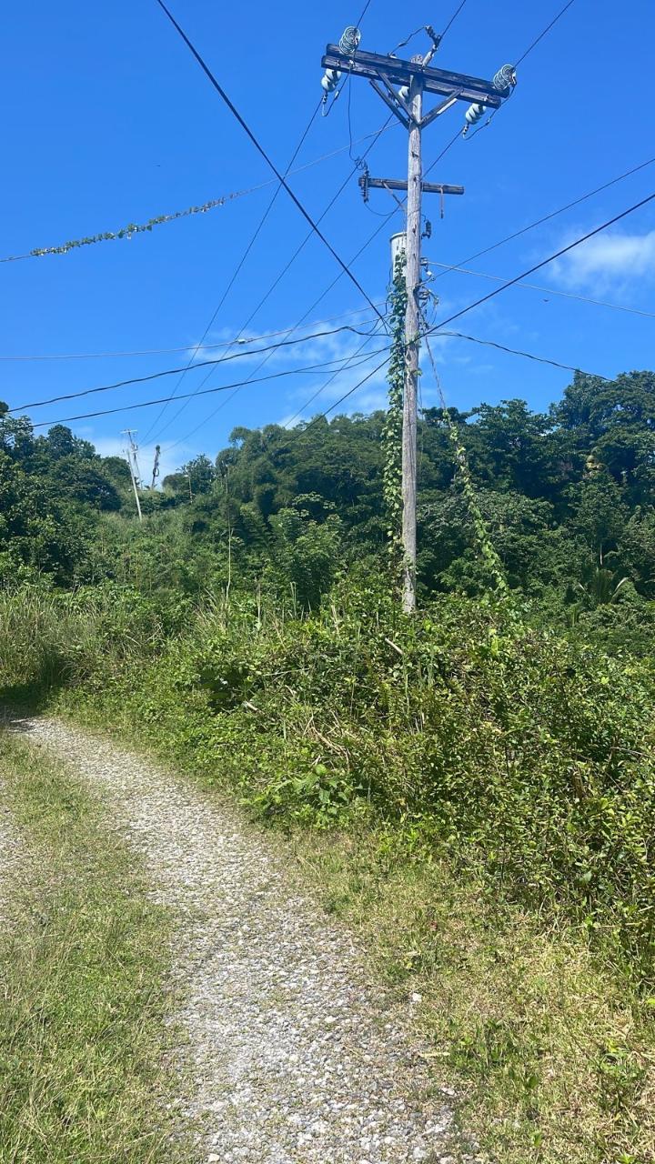 Stunning-Development-Land-for-Sale-in-Portland-Jamaica Second image of Lot 95 Part of Kildare in Buff Bay, Portland, Jamaica - property is For Sale
