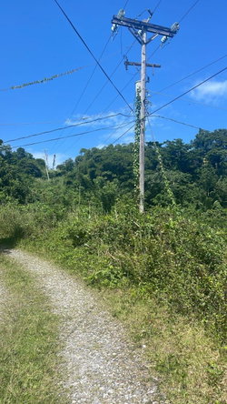 Second image of Lot 95 Part of Kildare in Buff Bay, Portland, Jamaica - property is For Sale