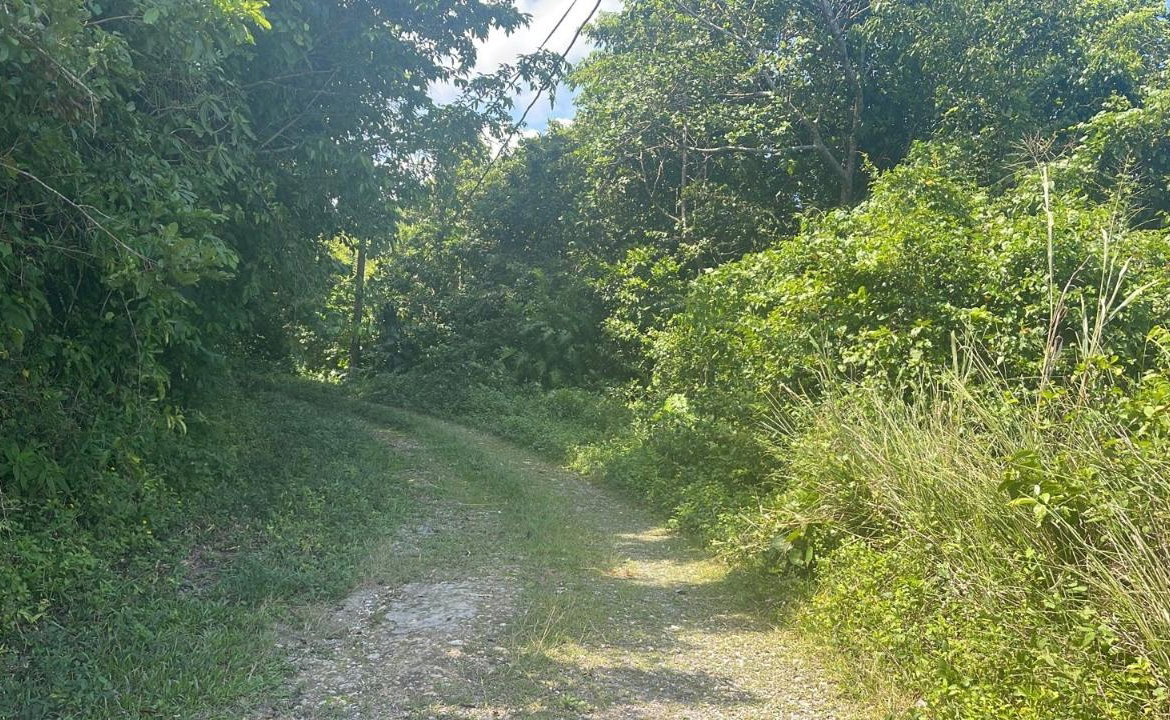 First image of Lot 95 Part of Kildare in Buff Bay, Portland, Jamaica - property is For Sale