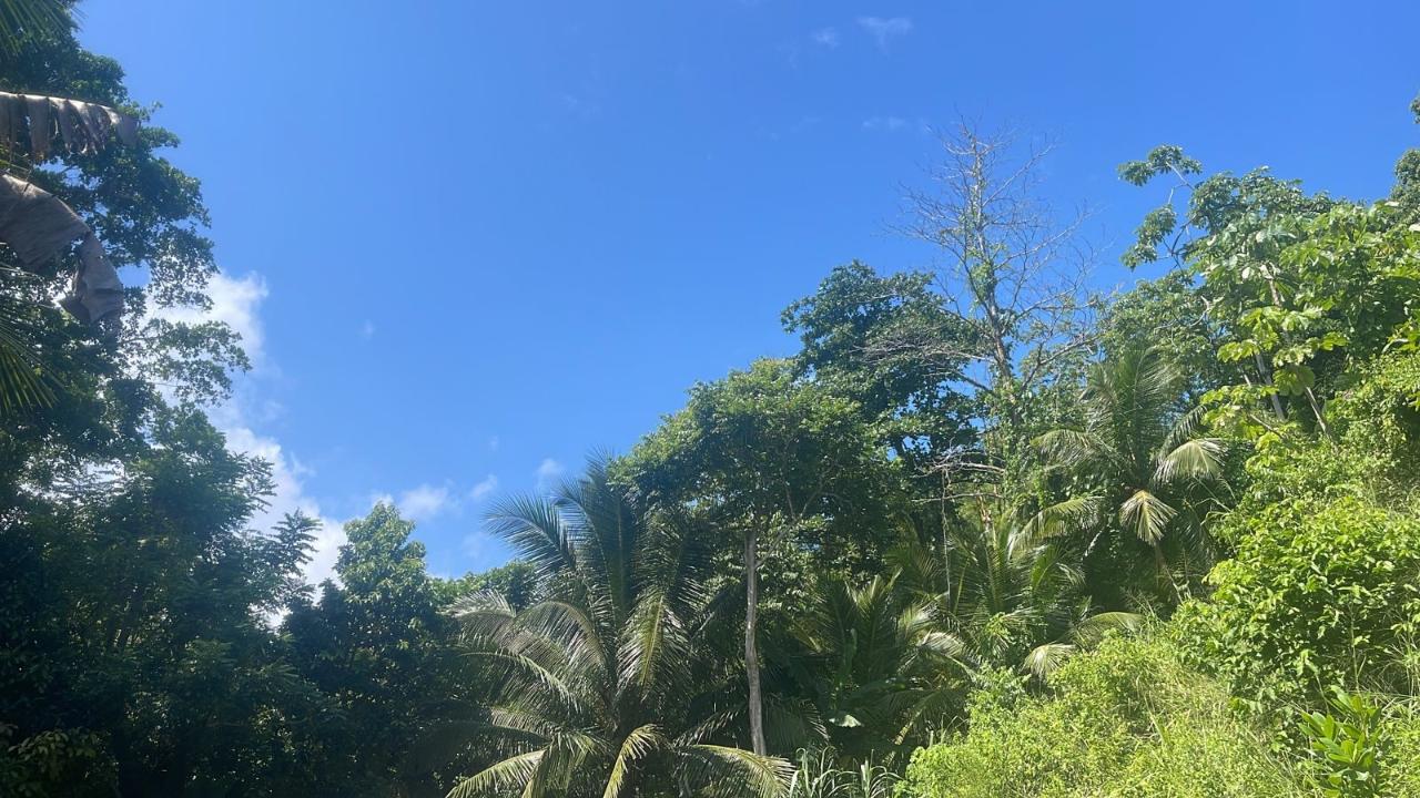 Stunning-Development-Land-for-Sale-in-Portland-Jamaica Sixth image of Lot 95 Part of Kildare in Buff Bay, Portland, Jamaica - property is For Sale