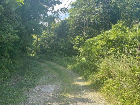 First image of Lot 95 Part of Kildare in Buff Bay, Portland, Jamaica - property is For Sale