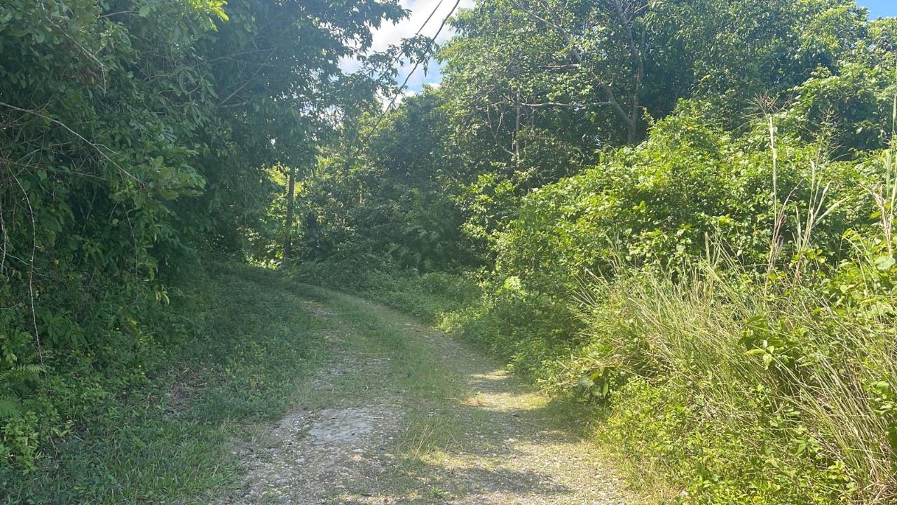 Stunning-Development-Land-for-Sale-in-Portland-Jamaica First image of Lot 95 Part of Kildare in Buff Bay, Portland, Jamaica - property is For Sale