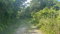 First image of Lot 95 Part of Kildare in Buff Bay, Portland, Jamaica - property is For Sale