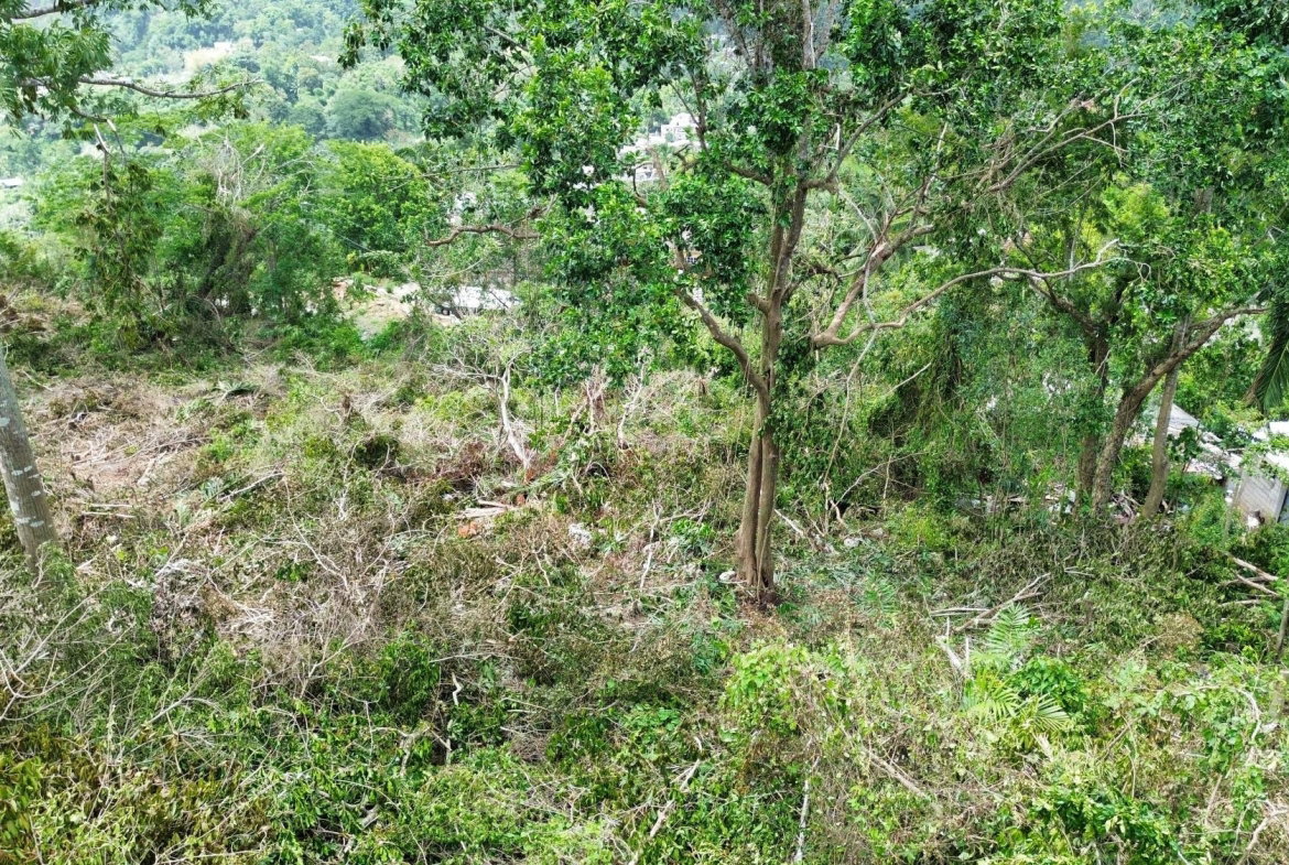 Second image of 31 Sherbourne Heights in Kingston 9, St. Andrew, Jamaica - property is For Sale