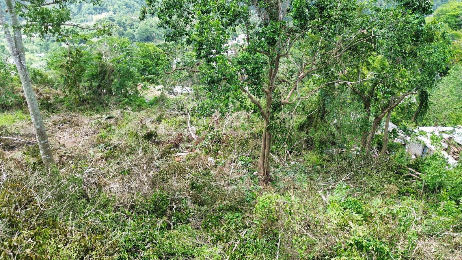 Second image of 31 Sherbourne Heights in Kingston 9, St. Andrew, Jamaica - property is For Sale