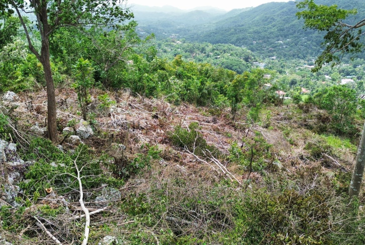 Third image of 31 Sherbourne Heights in Kingston 9, St. Andrew, Jamaica - property is For Sale