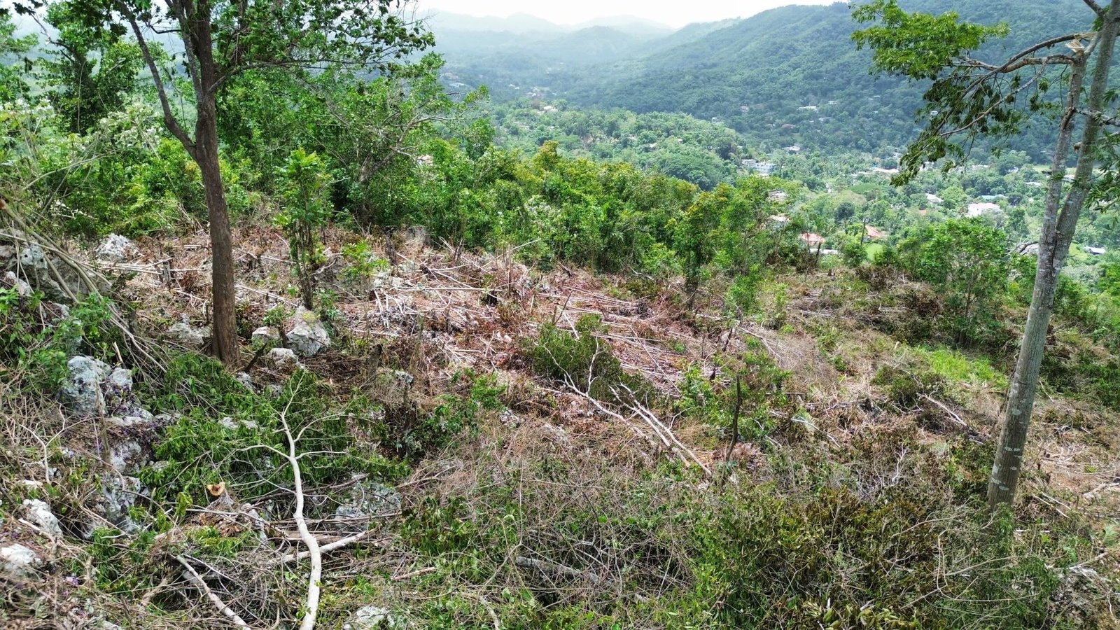 Third image of 31 Sherbourne Heights in Kingston 9, St. Andrew, Jamaica - property is For Sale