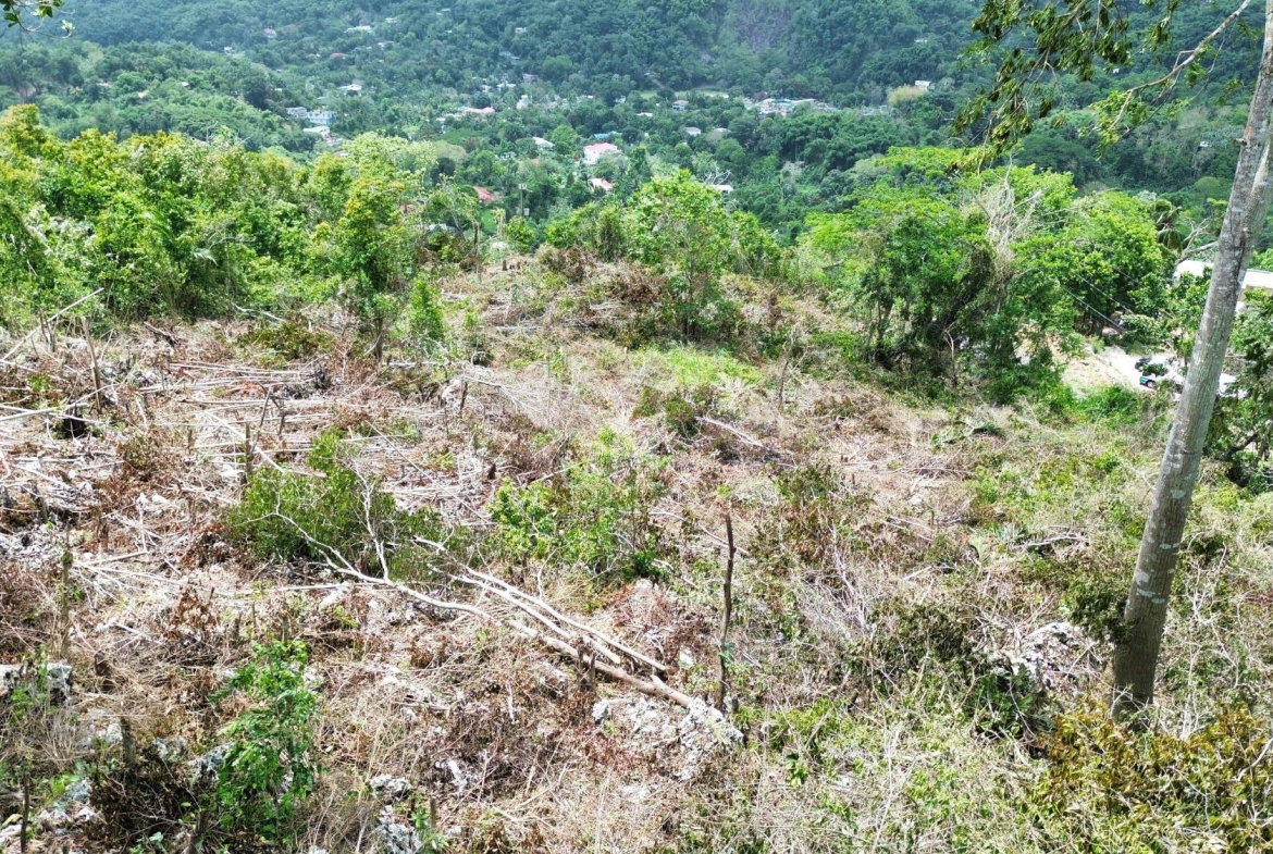 Fourth image of 31 Sherbourne Heights in Kingston 9, St. Andrew, Jamaica - property is For Sale