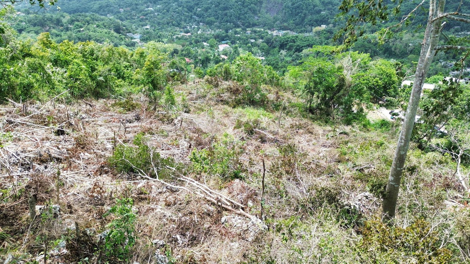 Fourth image of 31 Sherbourne Heights in Kingston 9, St. Andrew, Jamaica - property is For Sale