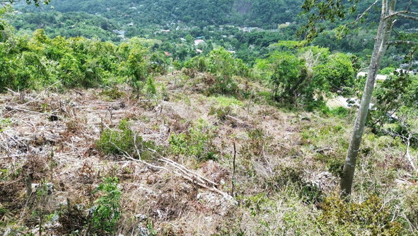 Fourth image of 31 Sherbourne Heights in Kingston 9, St. Andrew, Jamaica - property is For Sale