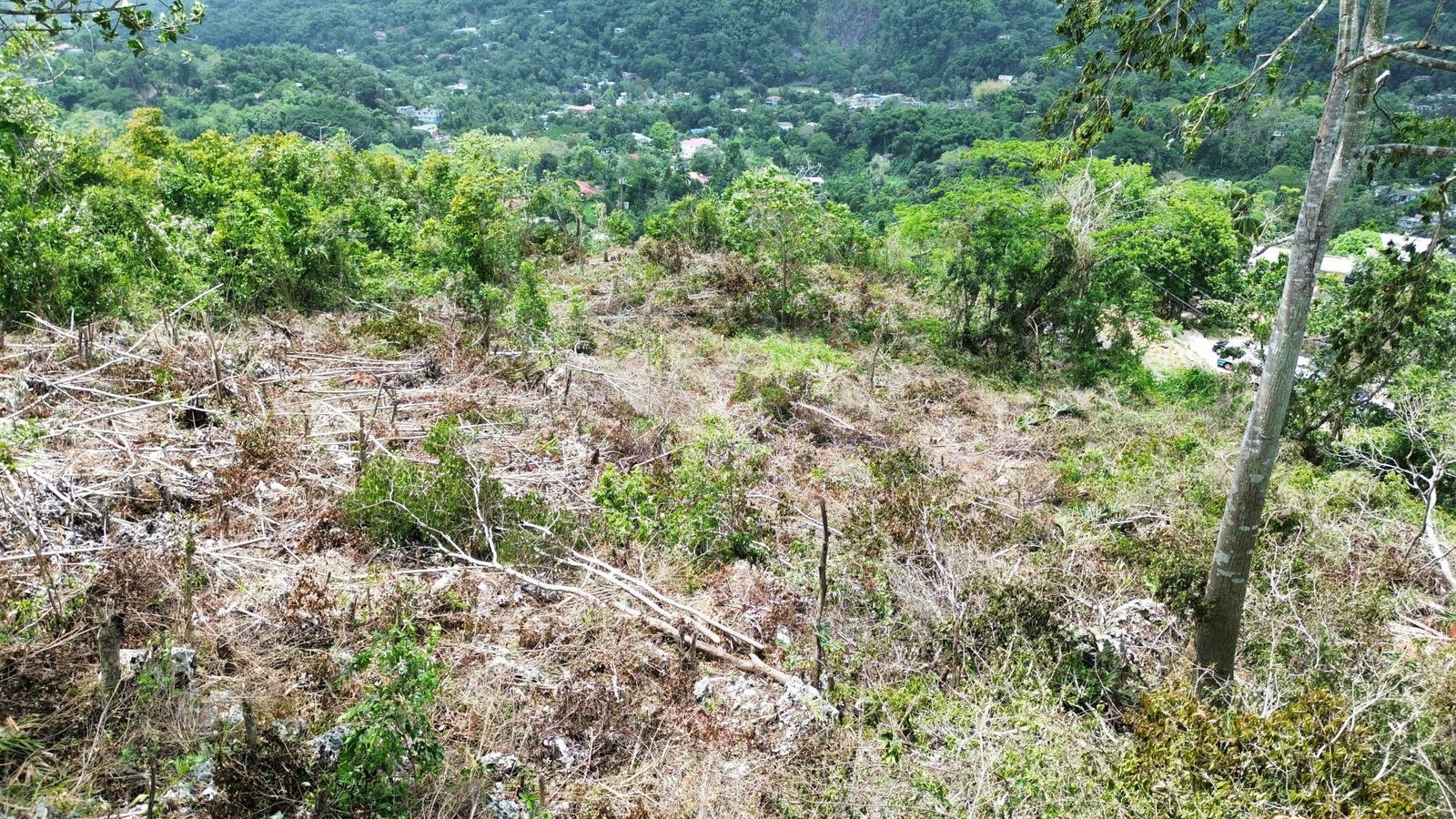 Fifth image of 31 Sherbourne Heights in Kingston 9, St. Andrew, Jamaica - property is For Sale