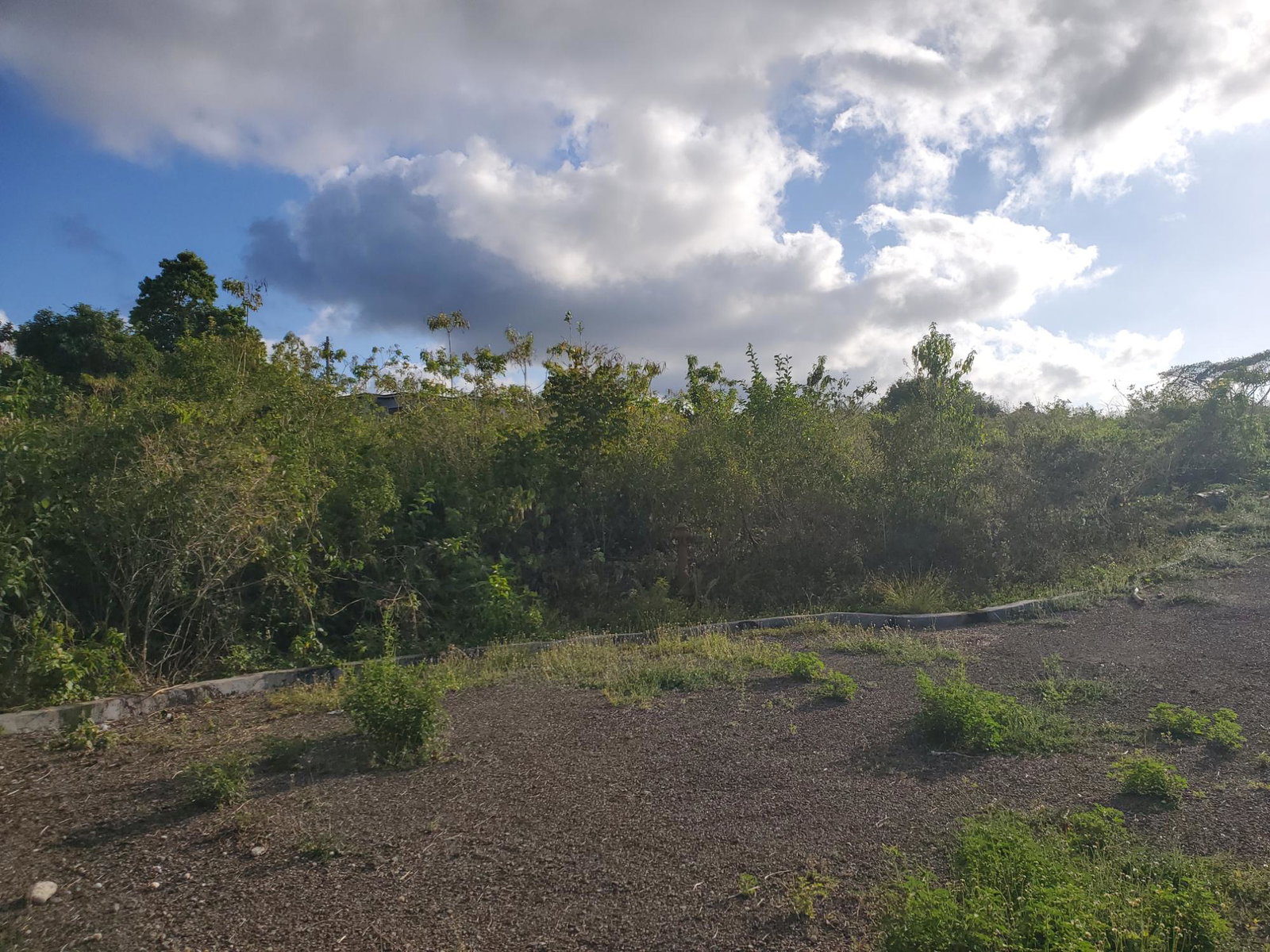 Thirteenth image of 8 Huddersfield st Mary in Huddersfield Estates, St. Mary, Jamaica - property is For Sale