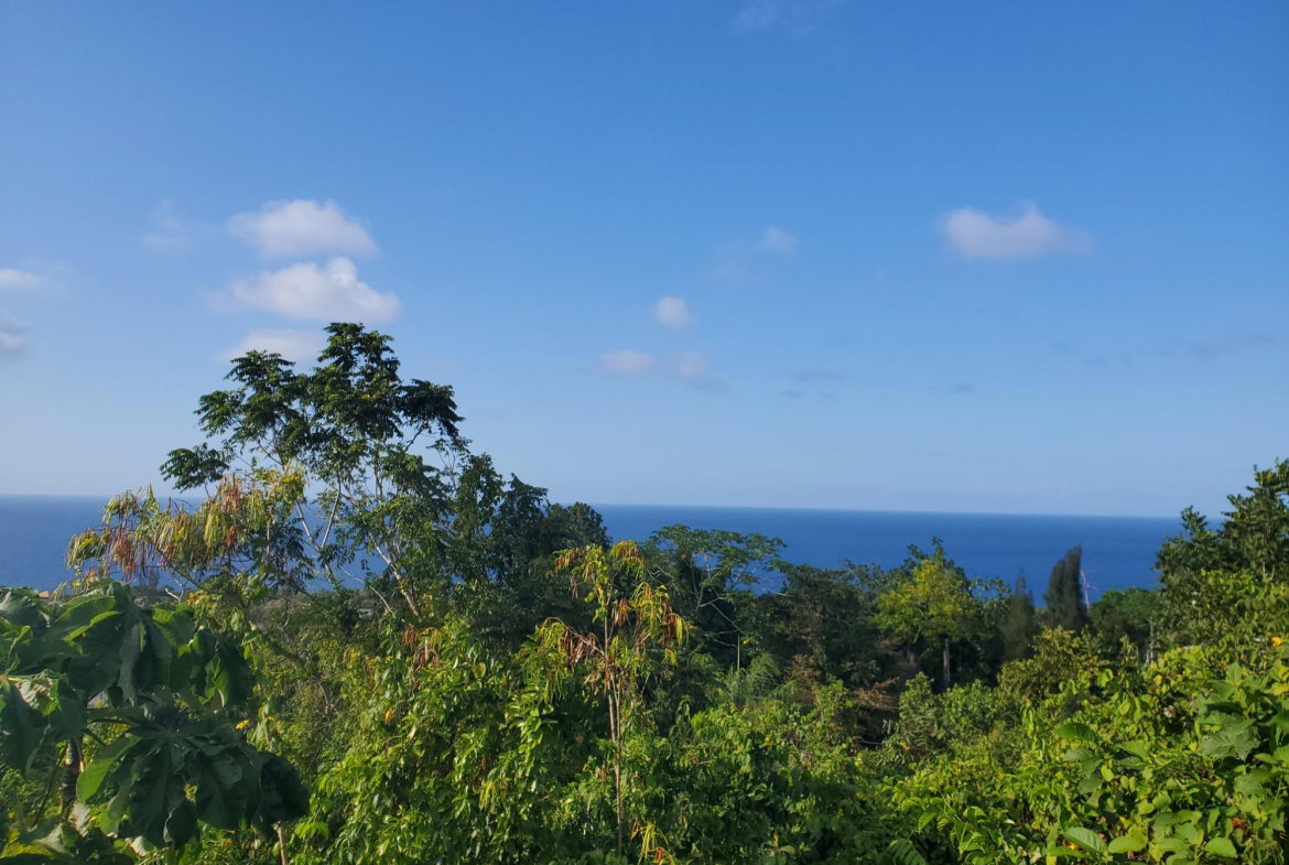 Fifteenth image of 8 Huddersfield st Mary in Huddersfield Estates, St. Mary, Jamaica - property is For Sale