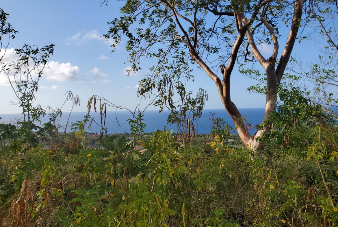 Fifth image of 8 Huddersfield st Mary in Huddersfield Estates, St. Mary, Jamaica - property is For Sale