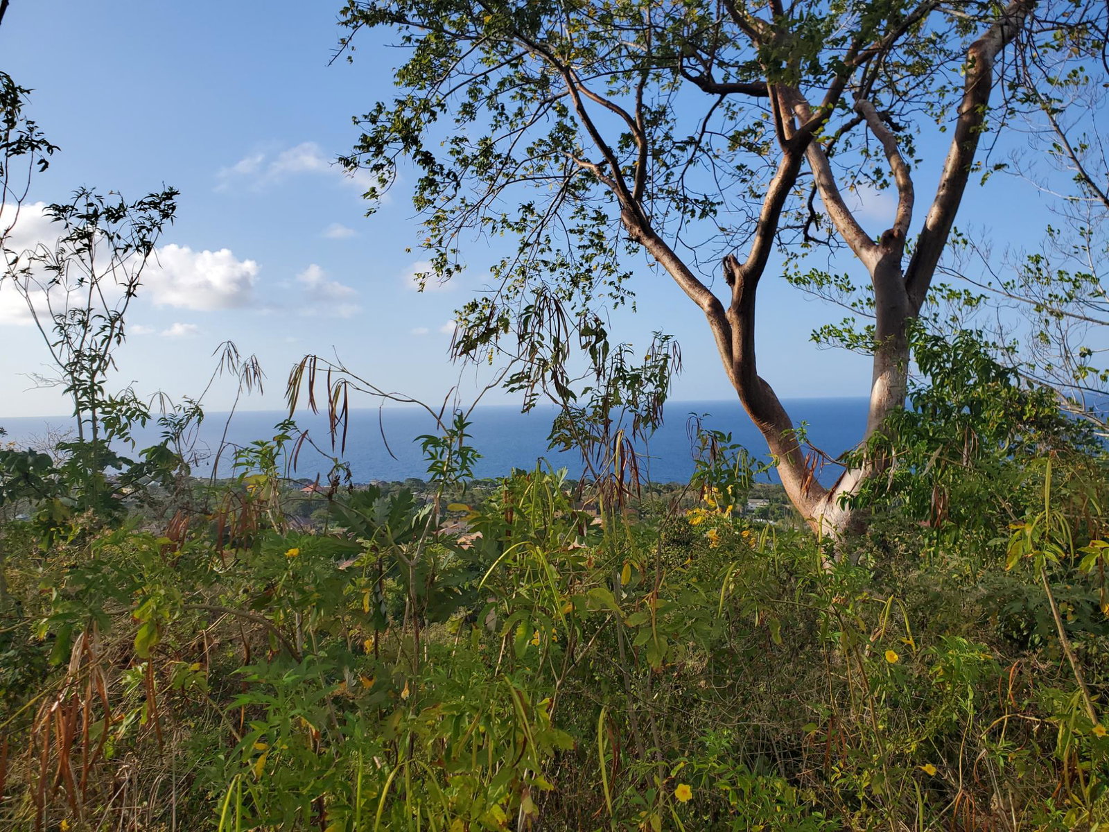 Fifth image of 8 Huddersfield st Mary in Huddersfield Estates, St. Mary, Jamaica - property is For Sale