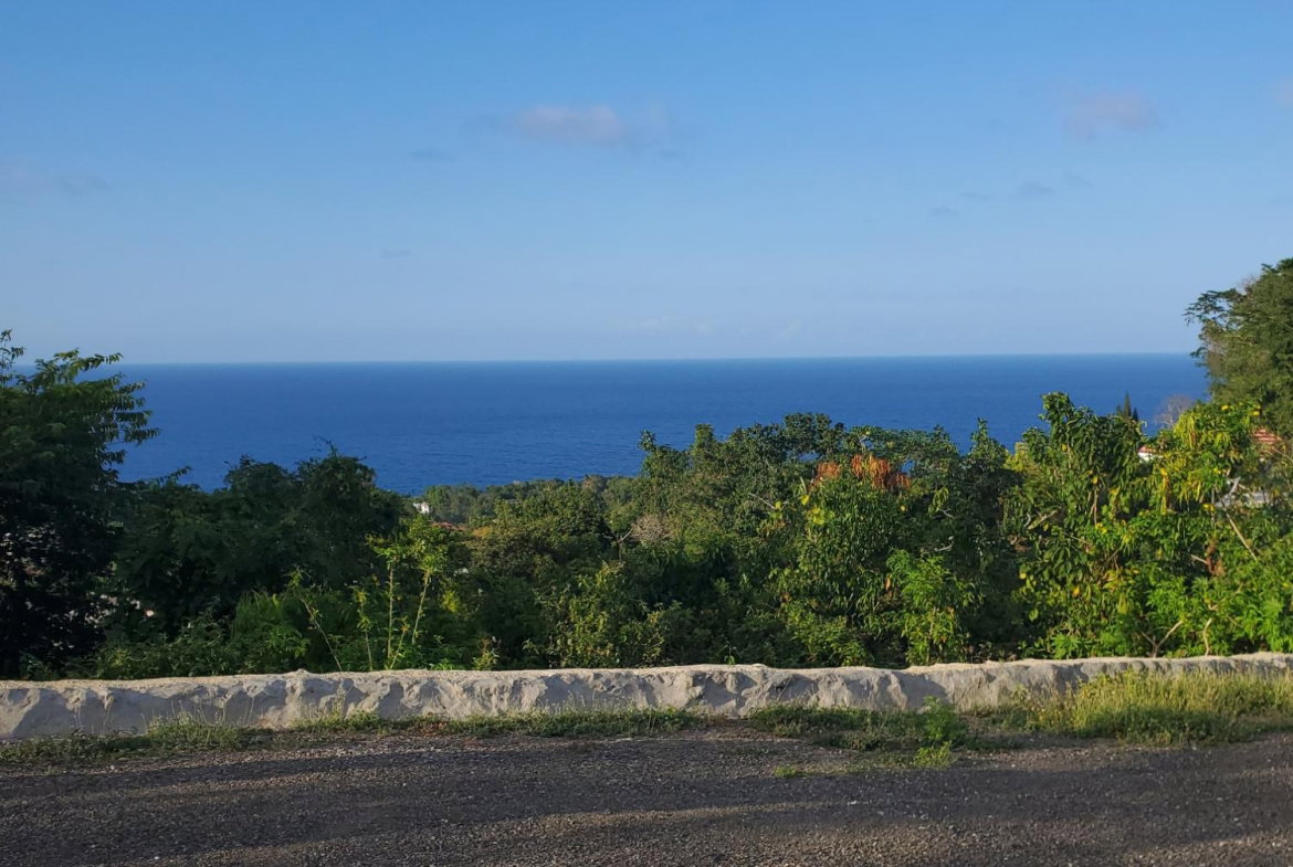 Seventh image of 8 Huddersfield st Mary in Huddersfield Estates, St. Mary, Jamaica - property is For Sale