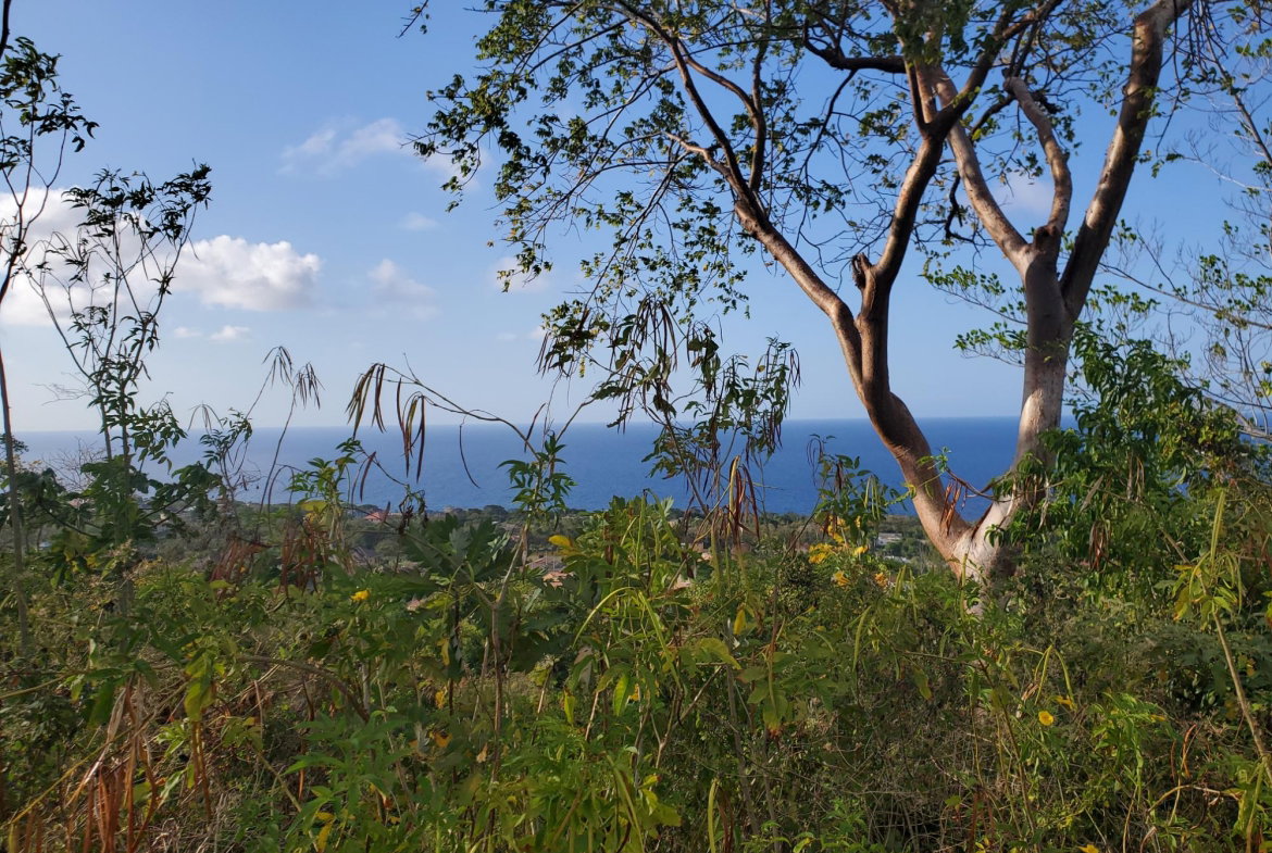 Eighth image of 8 Huddersfield st Mary in Huddersfield Estates, St. Mary, Jamaica - property is For Sale