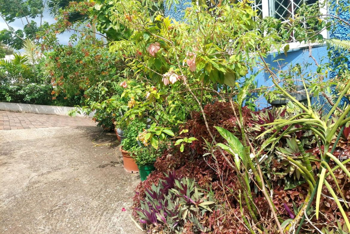 Twelfth image of 33 Topaz Crescent Red Hills in Red Hills, St. Andrew, Jamaica - property is For Sale