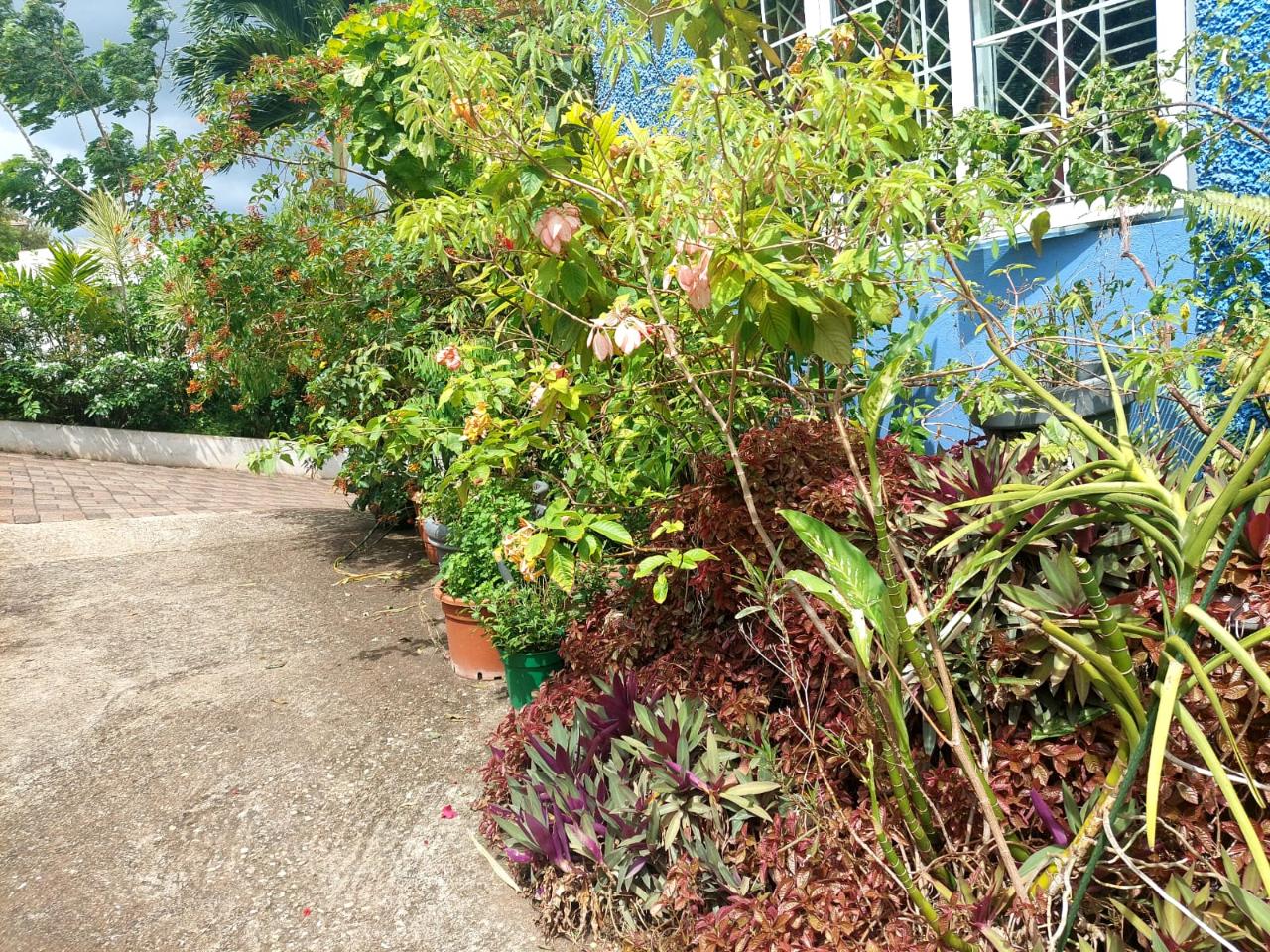 Twelfth image of 33 Topaz Crescent Red Hills in Red Hills, St. Andrew, Jamaica - property is For Sale