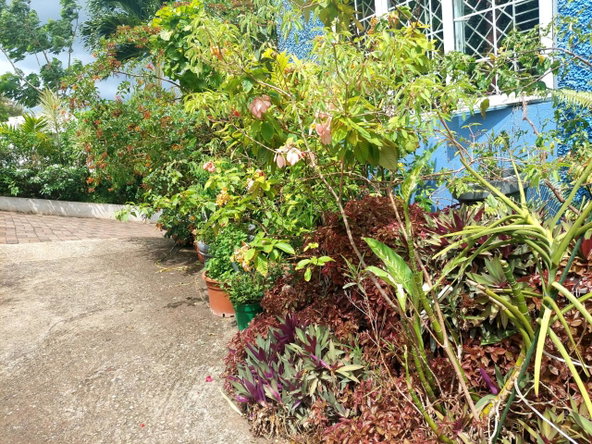 Twelfth image of 33 Topaz Crescent Red Hills in Red Hills, St. Andrew, Jamaica - property is For Sale