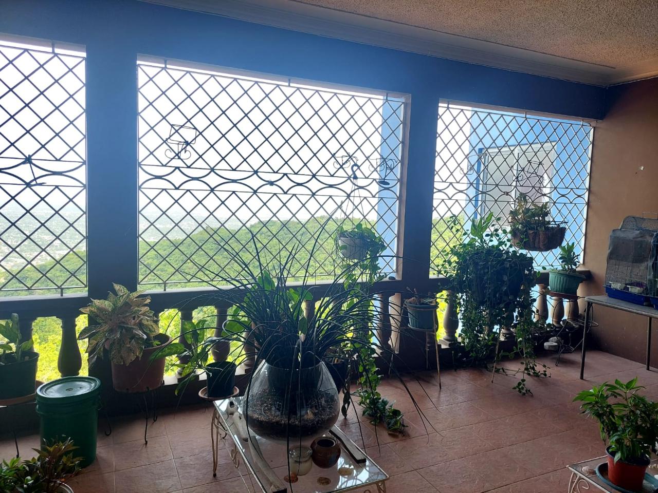 Fifteenth image of 33 Topaz Crescent Red Hills in Red Hills, St. Andrew, Jamaica - property is For Sale