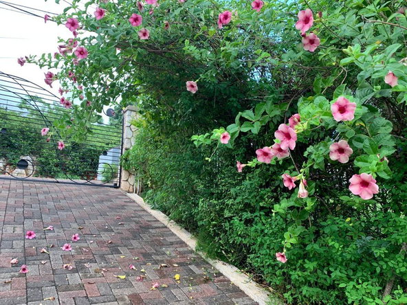 Ninth image of 33 Topaz Crescent Red Hills in Red Hills, St. Andrew, Jamaica - property is For Sale