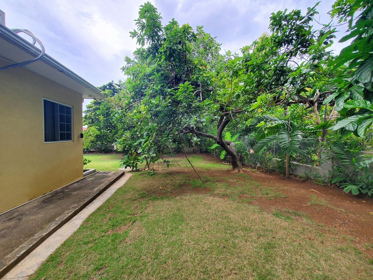 Stunning-Family-Home-for-Sale-in-St.-James-Jamaica Twenty-Fifth image of 19 Alexander Terrace Coral g in Montego Bay, St. James, Jamaica - property is For Sale