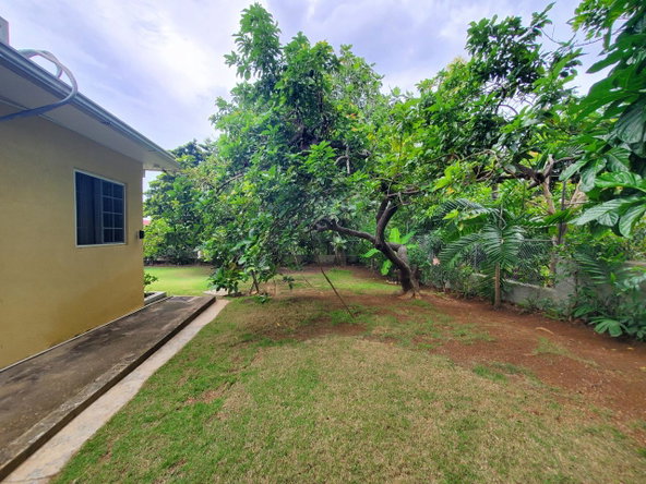 Twenty-Fifth image of 19 Alexander Terrace Coral g in Montego Bay, St. James, Jamaica - property is For Sale