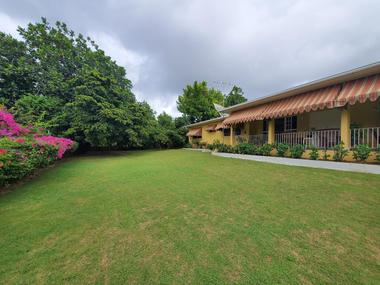 Stunning-Family-Home-for-Sale-in-St.-James-Jamaica Twenty-Seventh image of 19 Alexander Terrace Coral g in Montego Bay, St. James, Jamaica - property is For Sale