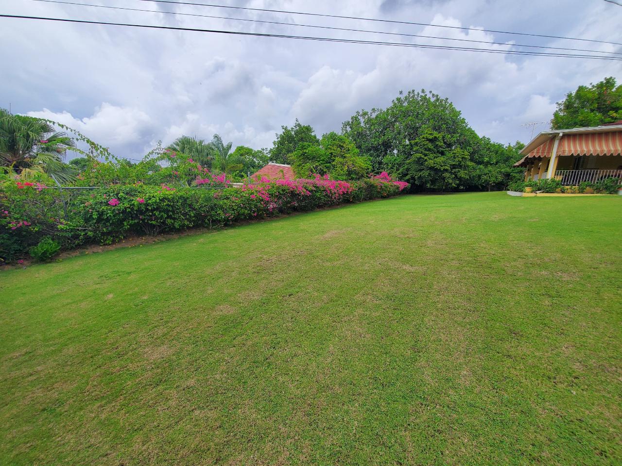 Stunning-Family-Home-for-Sale-in-St.-James-Jamaica Twenty-Eighth image of 19 Alexander Terrace Coral g in Montego Bay, St. James, Jamaica - property is For Sale