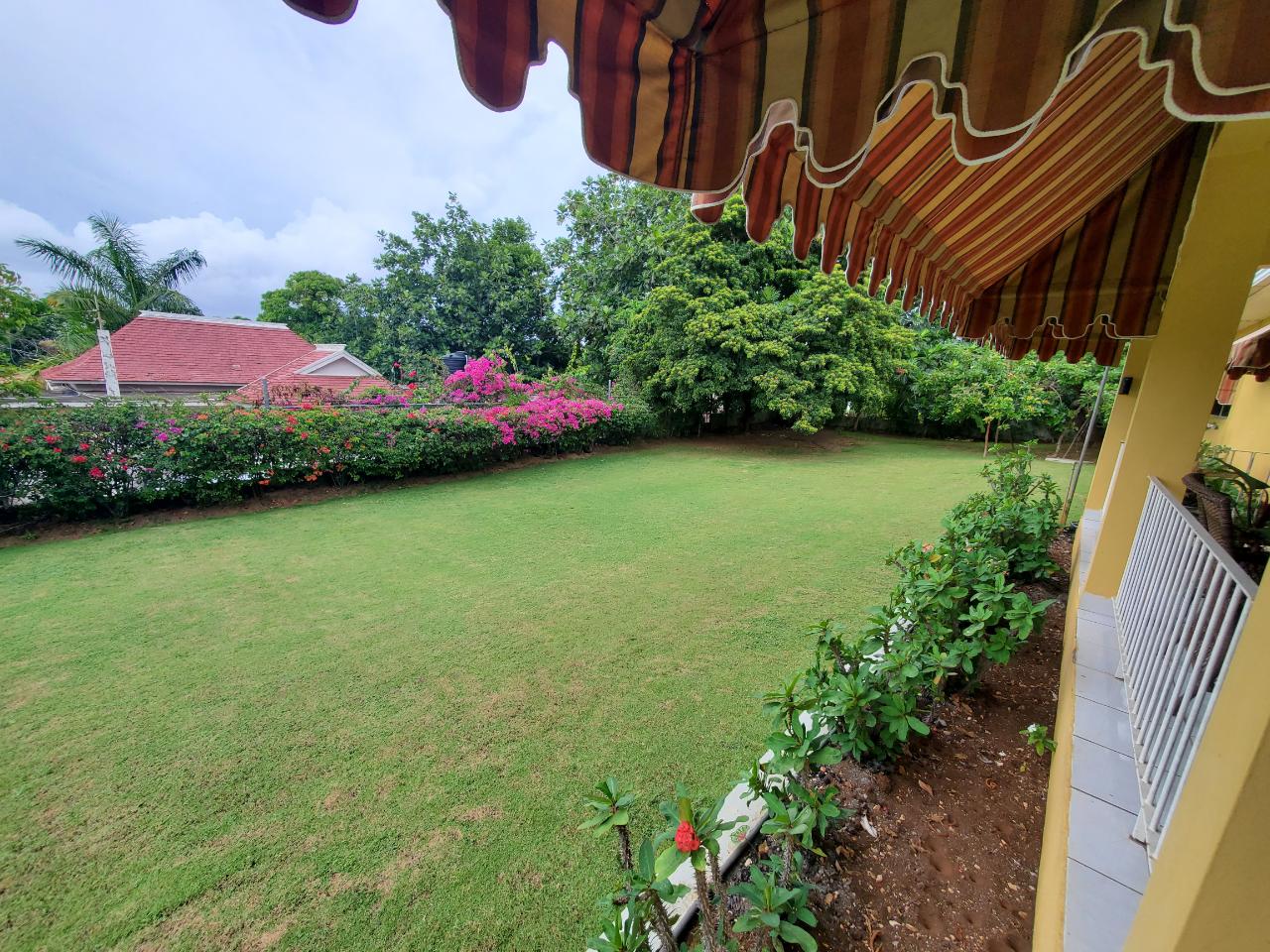 Stunning-Family-Home-for-Sale-in-St.-James-Jamaica Thirtieth image of 19 Alexander Terrace Coral g in Montego Bay, St. James, Jamaica - property is For Sale