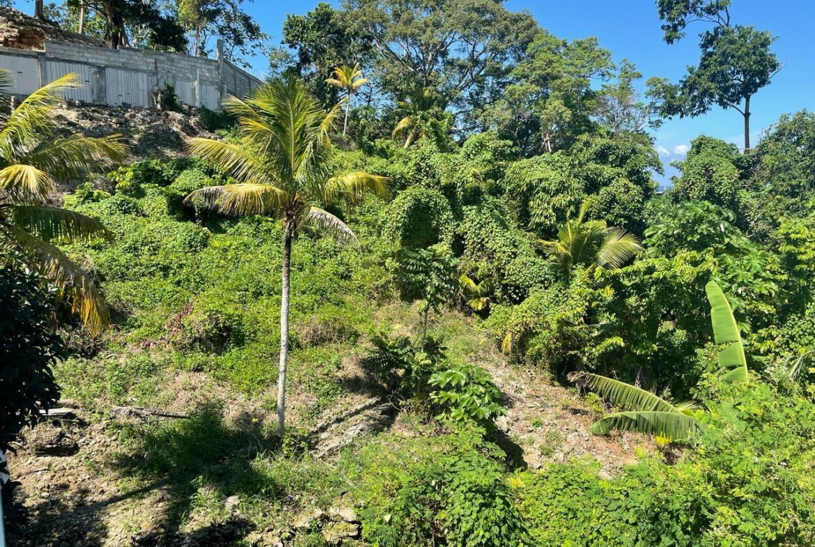 Twenty-Third image of 2-whydah St. Margaret's Bay Portla in St. Margaret's Bay, Portland, Jamaica - property is For Sale