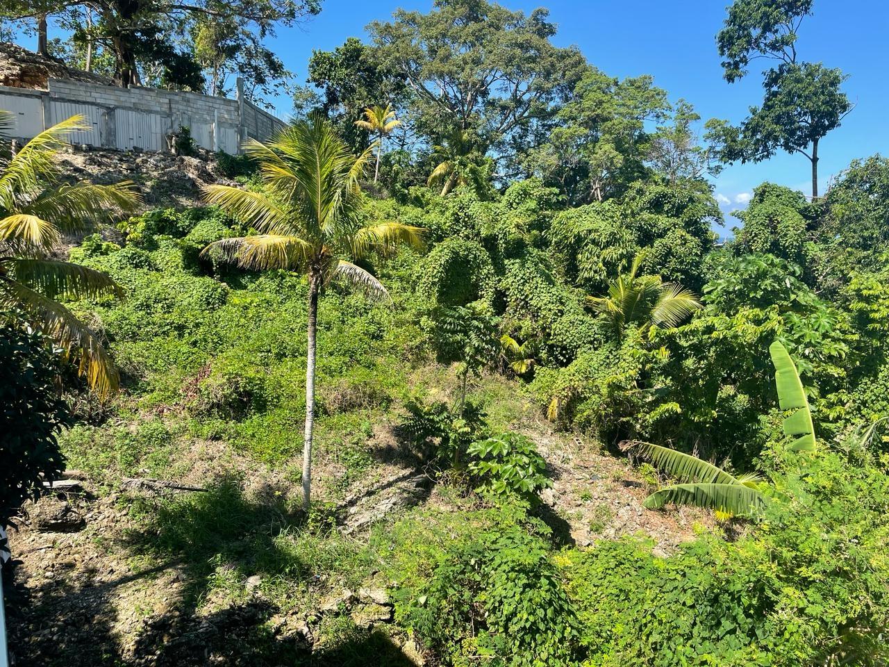 Twenty-Third image of 2-whydah St. Margaret's Bay Portla in St. Margaret's Bay, Portland, Jamaica - property is For Sale