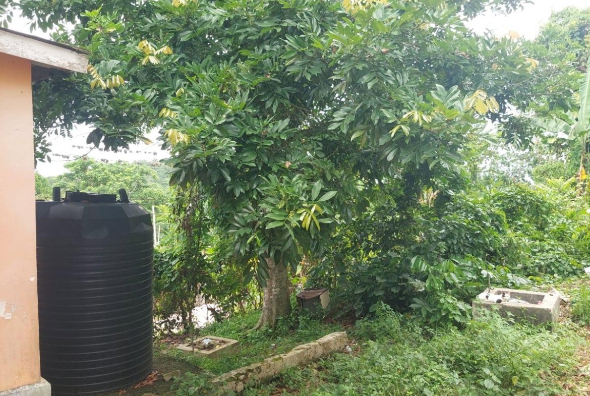 Thirteenth image of Lime Hall Peel Centre in Lime Hall, St. Ann, Jamaica - property is For Sale