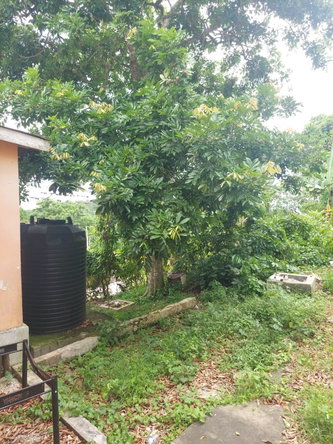 Thirteenth image of Lime Hall Peel Centre in Lime Hall, St. Ann, Jamaica - property is For Sale