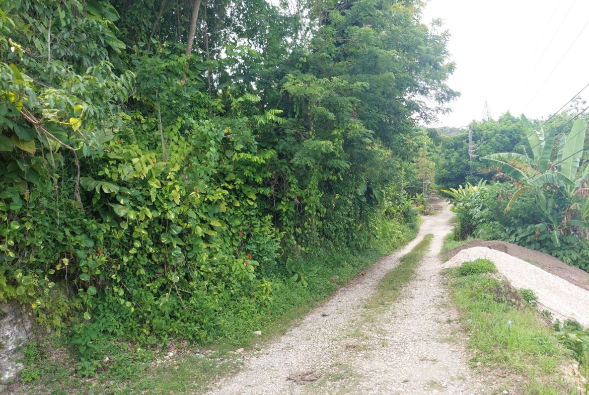 Fifteenth image of Lime Hall Peel Centre in Lime Hall, St. Ann, Jamaica - property is For Sale