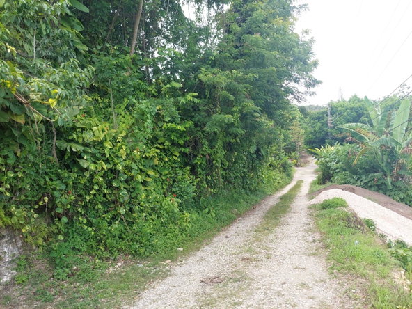Fifteenth image of Lime Hall Peel Centre in Lime Hall, St. Ann, Jamaica - property is For Sale