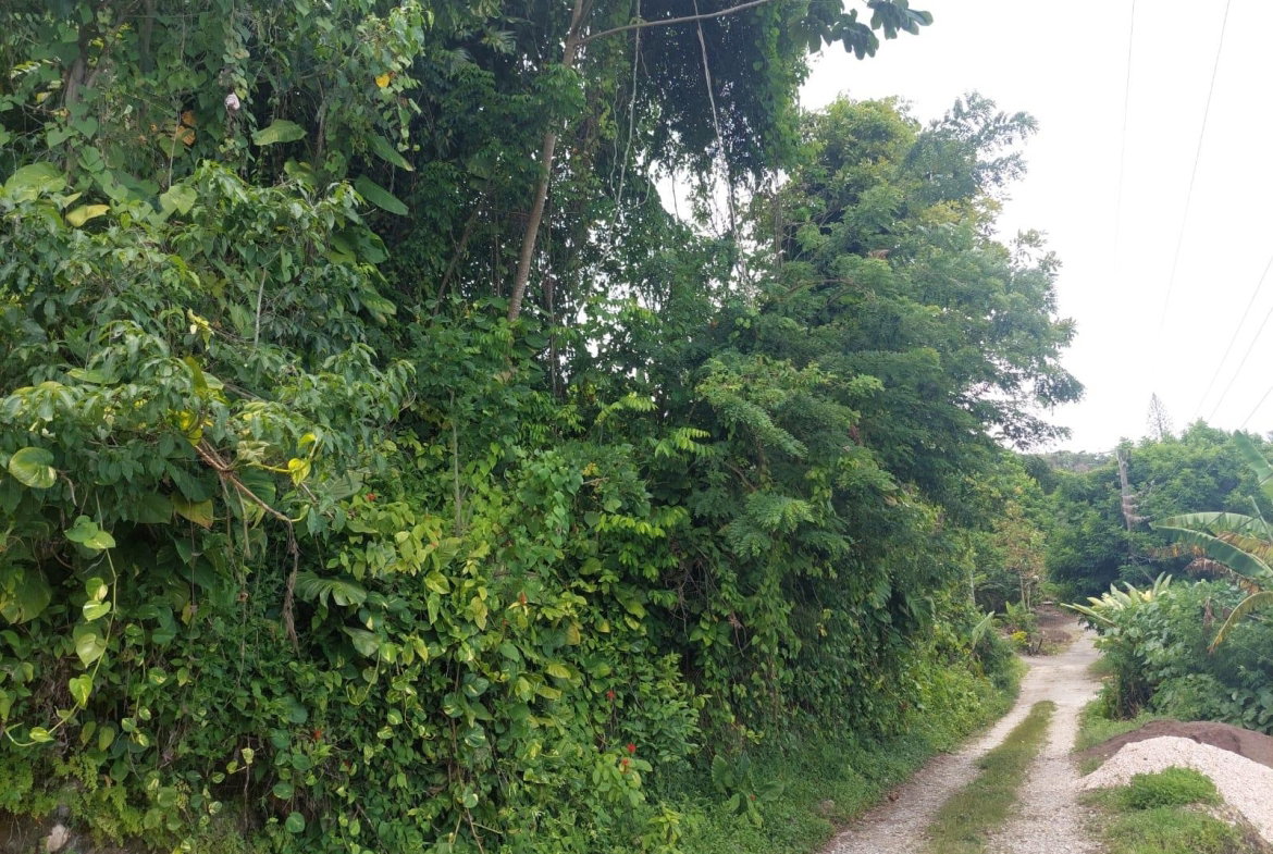 Sixteenth image of Lime Hall Peel Centre in Lime Hall, St. Ann, Jamaica - property is For Sale