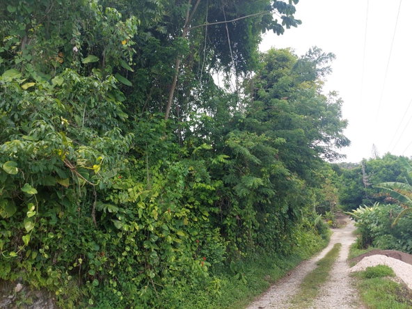 Sixteenth image of Lime Hall Peel Centre in Lime Hall, St. Ann, Jamaica - property is For Sale