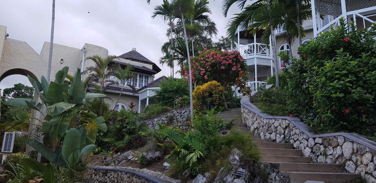 Fifth image of D4-block d Alamanda Cluster, Phase 2 in Ocho Rios, St. Ann, Jamaica - property is For Rent
