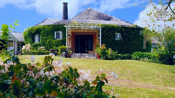 Twenty-Sixth image of Chippenham Park, Bamboo in Bamboo, St. Ann, Jamaica - property is For Sale